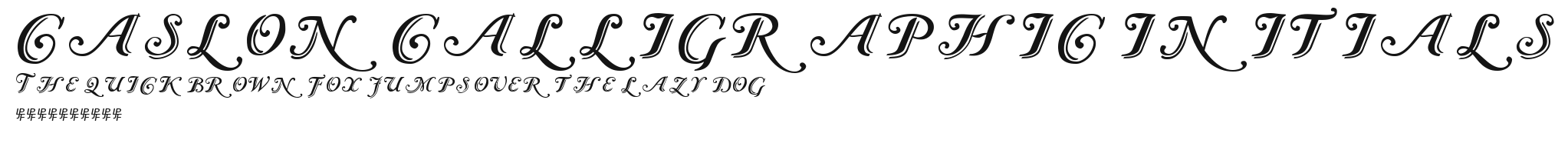 Caslon Calligraphic Initials Preview