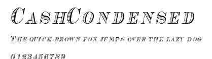 CashCondensed Preview