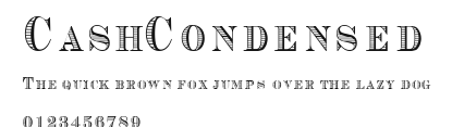 CashCondensed Preview