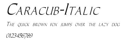 Caracub-Italic Preview