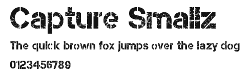 Capture Smallz Preview