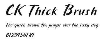 CK Thick Brush Preview