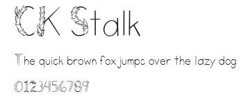 CK Stalk Preview
