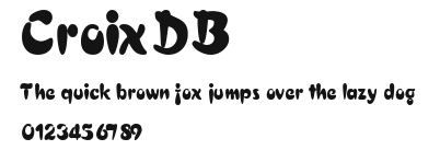 CroixDB Preview