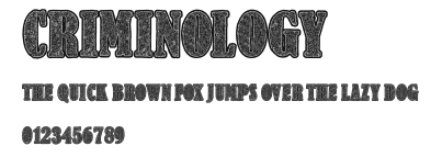 Criminology Preview