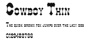 Cowboy Thin Preview