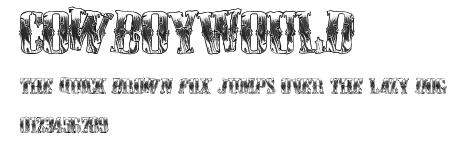 CowboyWould Preview