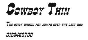 Cowboy Thin Preview