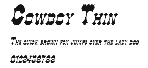 Cowboy Thin Preview