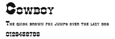 Cowboy Preview
