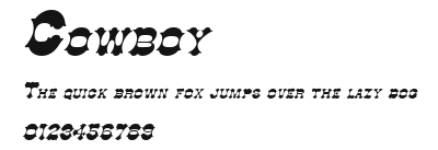 Cowboy Preview