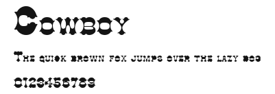 Cowboy Preview