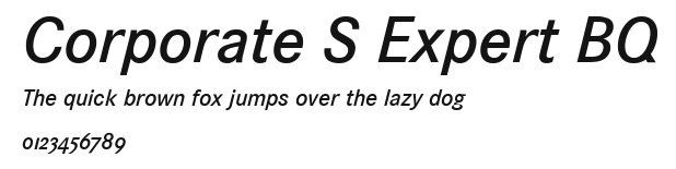 Corporate S Expert BQ Preview
