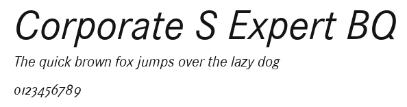 Corporate S Expert BQ Preview