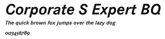 Corporate S Expert BQ Preview