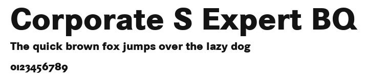 Corporate S Expert BQ Preview