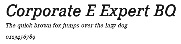 Corporate E Expert BQ Preview