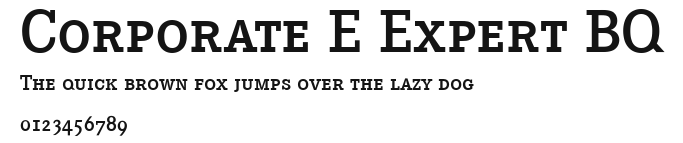 Corporate E Expert BQ Preview