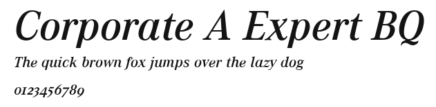 Corporate A Expert BQ Preview