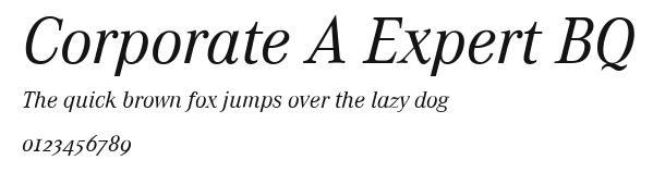 Corporate A Expert BQ Preview