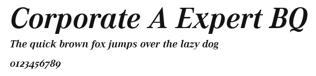 Corporate A Expert BQ Preview