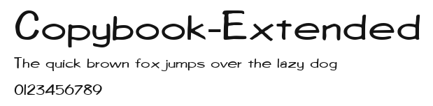 Copybook-Extended Preview