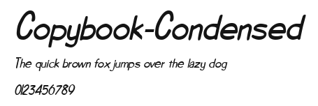Copybook-Condensed Preview
