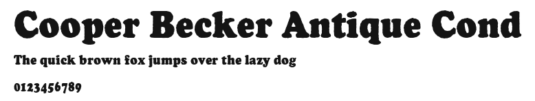 Cooper Becker Antique Cond Preview