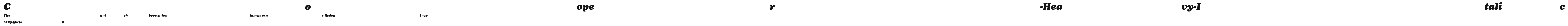 Cooper-Heavy-Italic Preview