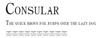 Consular Preview