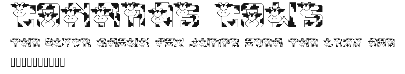 Conrads Cows Preview