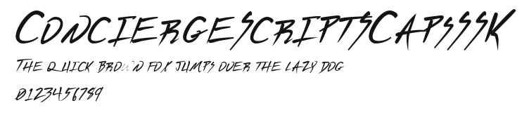 ConciergeScriptSCapsSSK Preview