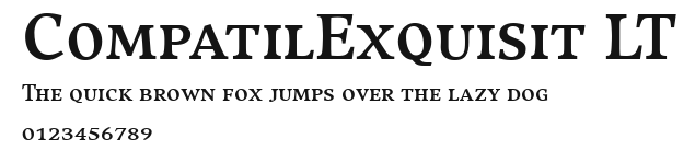 CompatilExquisit LT Preview
