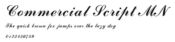 Commercial Script MN Preview