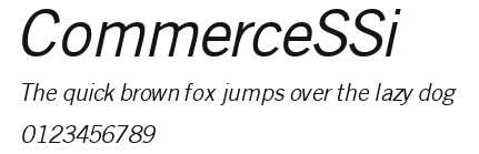 CommerceSSi Preview
