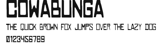 COWABUNGA Preview