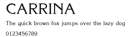 CARRINA Preview