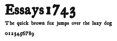 Essays1743 Preview
