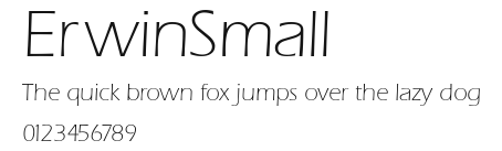 ErwinSmall Preview