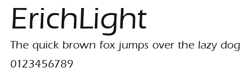 ErichLight Preview
