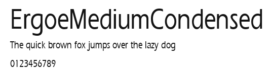 ErgoeMediumCondensed Preview