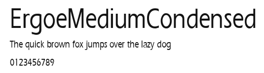 ErgoeMediumCondensed Preview