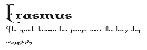 Erasmus Preview