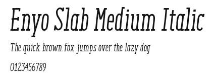 Enyo Slab Medium Italic Preview
