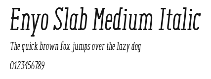 Enyo Slab Medium Italic Preview
