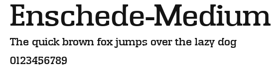 Enschede-Medium Preview
