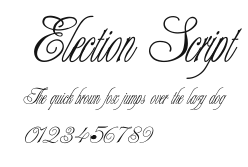 Election Script Preview