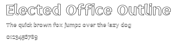Elected Office Outline Preview
