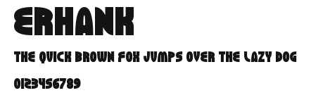 ERHANK Preview