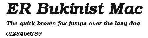 ER Bukinist Mac Preview